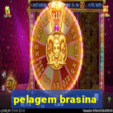 pelagem brasina